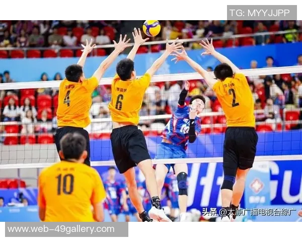 广州排球队迎来速度革命引发热议与关注