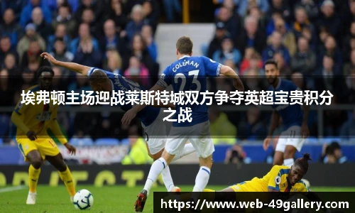埃弗顿主场迎战莱斯特城双方争夺英超宝贵积分之战